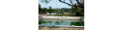மைசூரு வைத்தியநாதர்